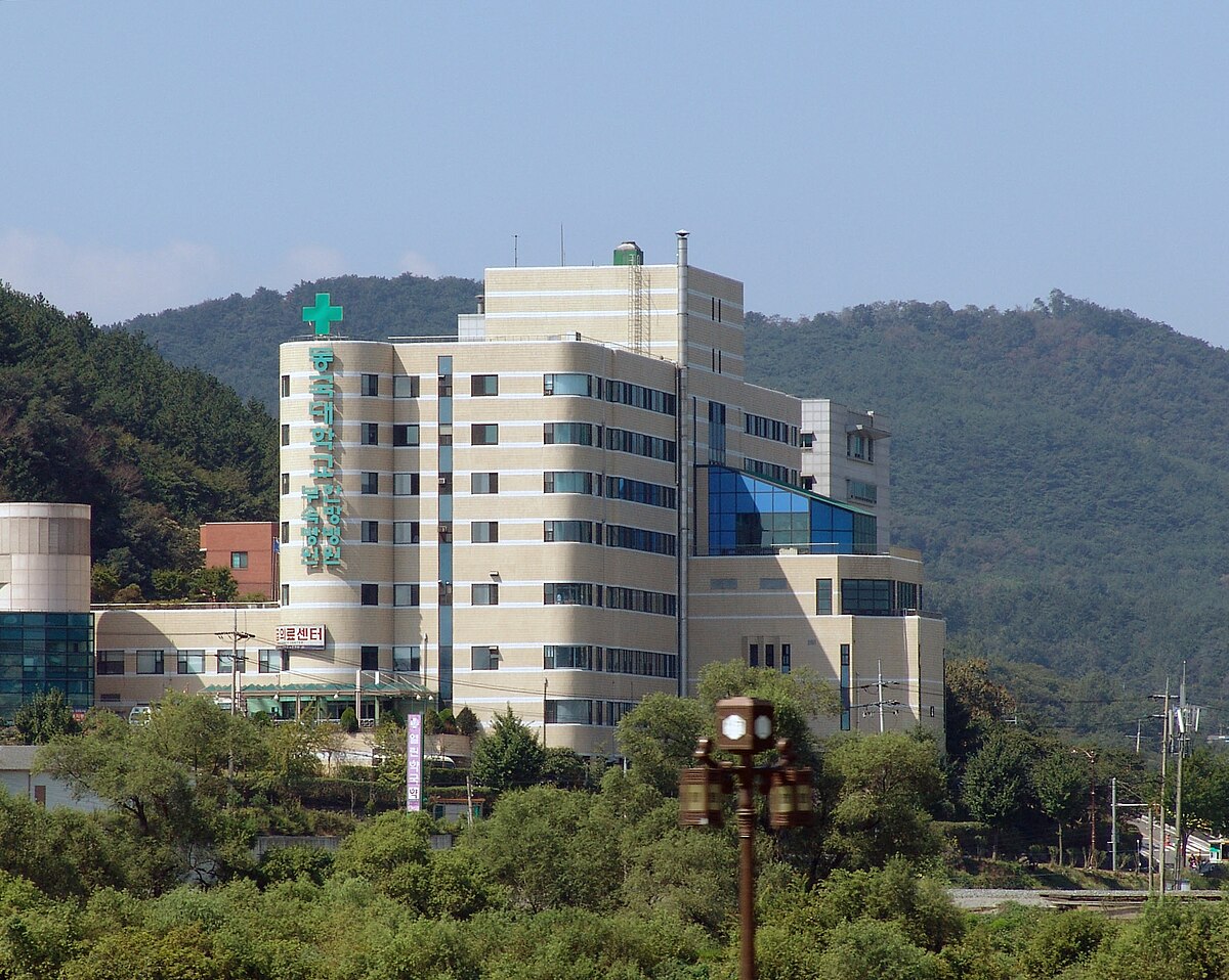 Dongguk University - Gyeongju Hospital — Gyeongju, South Korea