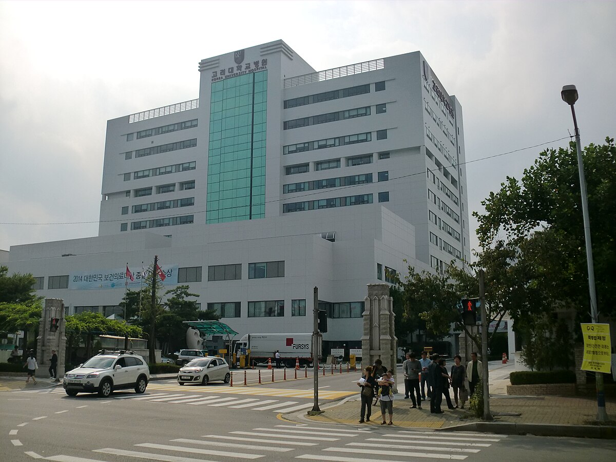 Korea University - Ansan Hospital — Ansan, South Korea